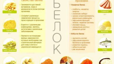 Photo of «Диета для быстрого похудения»