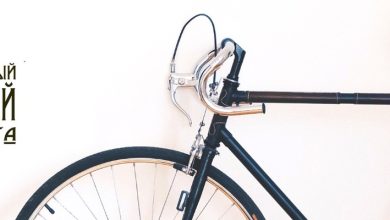 Photo of «Секреты питания профессиональных спортсменов»