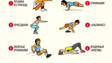 Photo of Силовые упражнения без тренажера