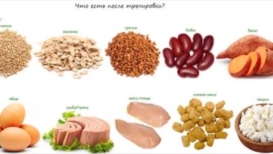 Photo of «Здоровое питание и спорт: идеальное сочетание»