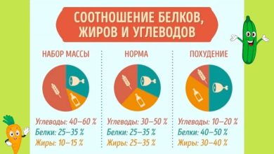 Photo of Почему важно следить за питанием во время тренировок