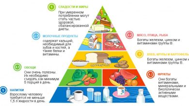 Photo of «Белки, жиры, углеводы: важность баланса»