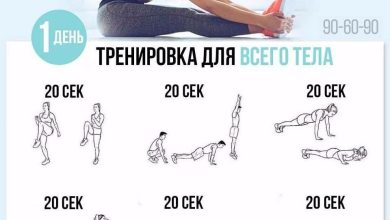 Photo of 5 упражнений на каждый день