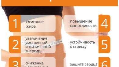 Photo of «Как улучшить выносливость через питание»